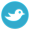 Lien vers le site de Twitter
